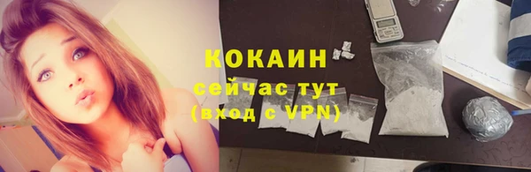 спиды Богородск