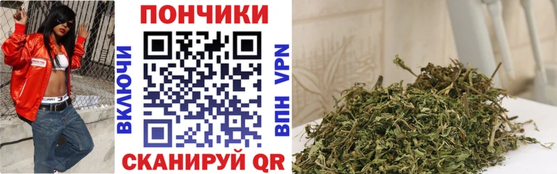 Конопля гибрид  как найти наркотики  Козельск 